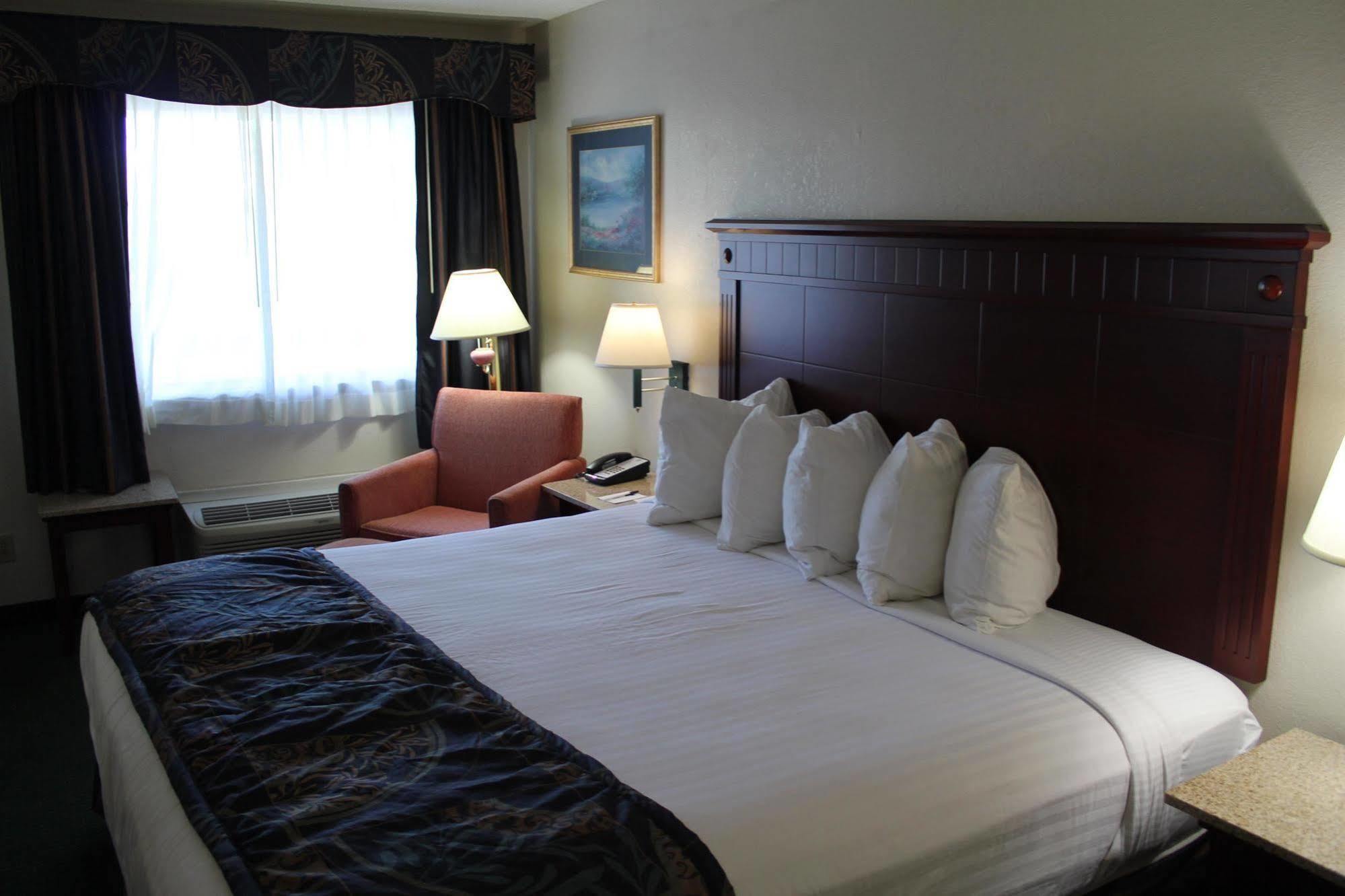 Best Western Chaffin Inn Murfreesboro Rom bilde
